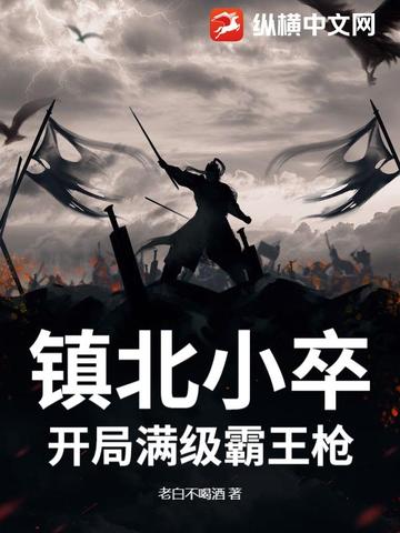 镇北小卒：开局满级霸王枪