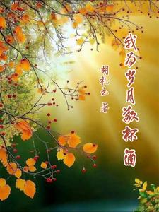 我为岁月敬杯酒