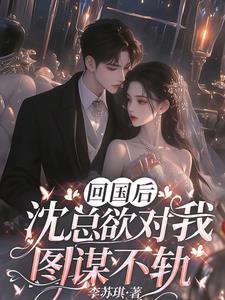 回国后，沈总欲对我图谋不轨