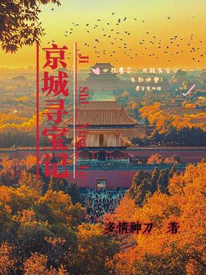 京城寻宝记